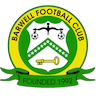 team-logo
