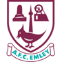 team-logo