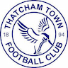 team-logo