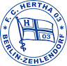 team-logo