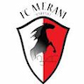 team-logo