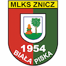 team-logo