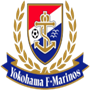 team-logo