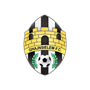 team-logo