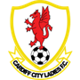 team-logo