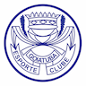 team-logo