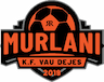 team-logo