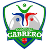 team-logo