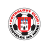 team-logo