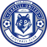 team-logo