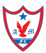 team-logo